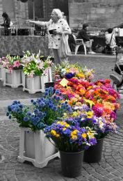 Flower market